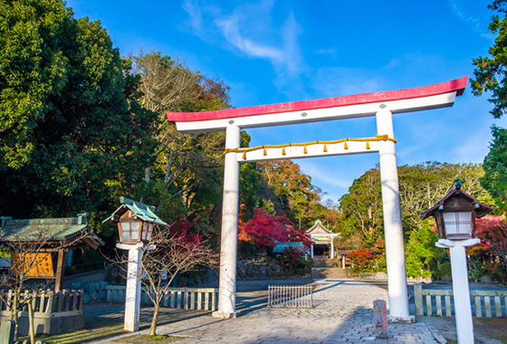 ARRANGE THE TRADDITIONAL CEREMONY AT SHRINE or TEMPLE