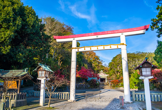 ARRANGE THE TRADDITIONAL CEREMONY AT SHRINE or TEMPLE